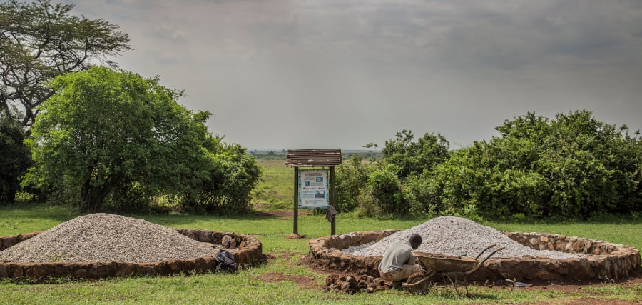 Ivory chips left over from the original burn site in Nairobi National Park, Kenya. 