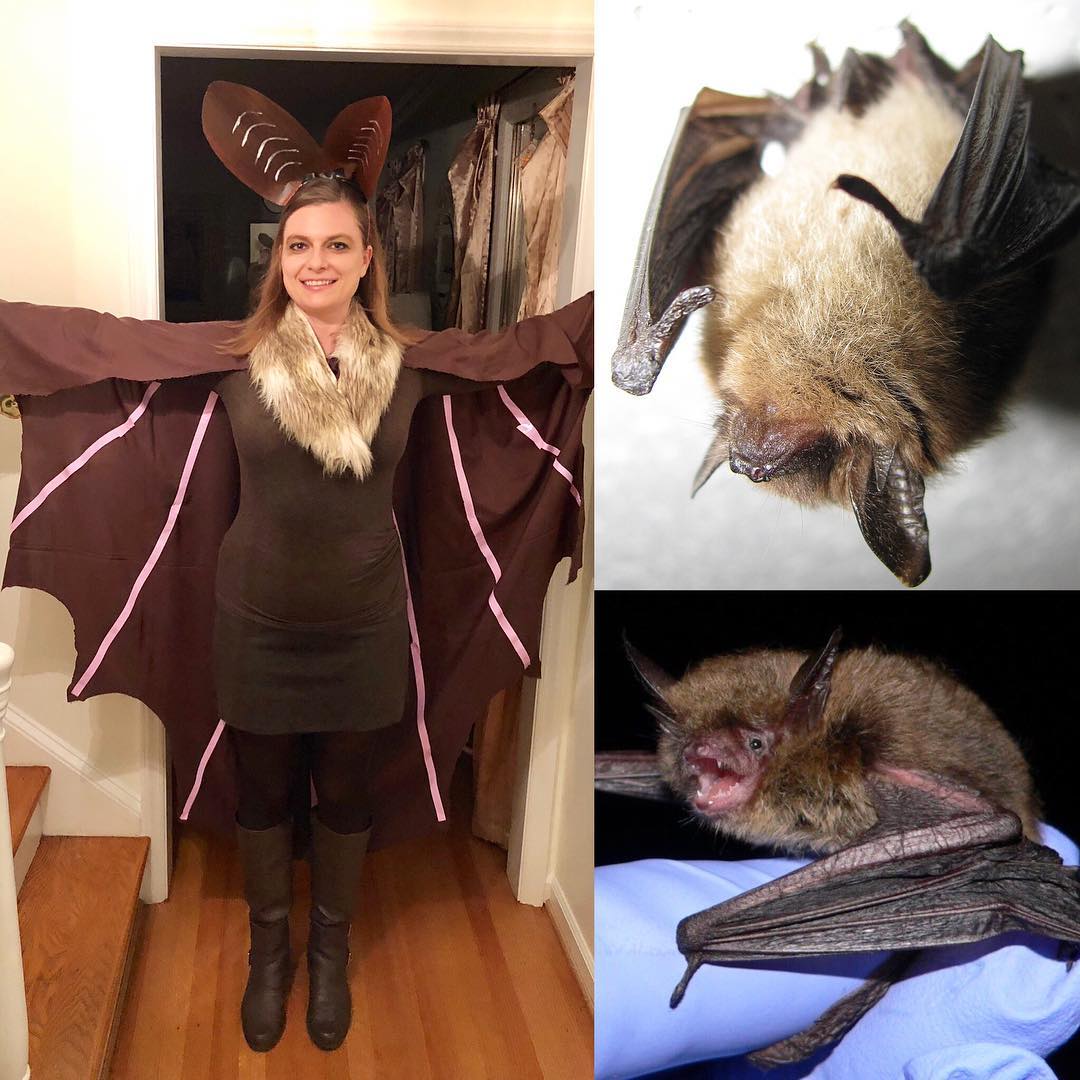 nature halloween costume