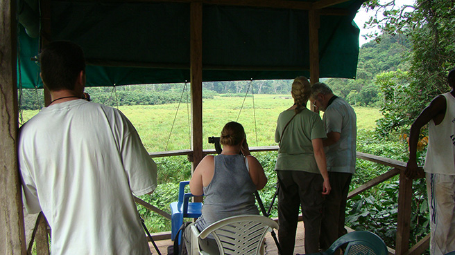 People watching elephants