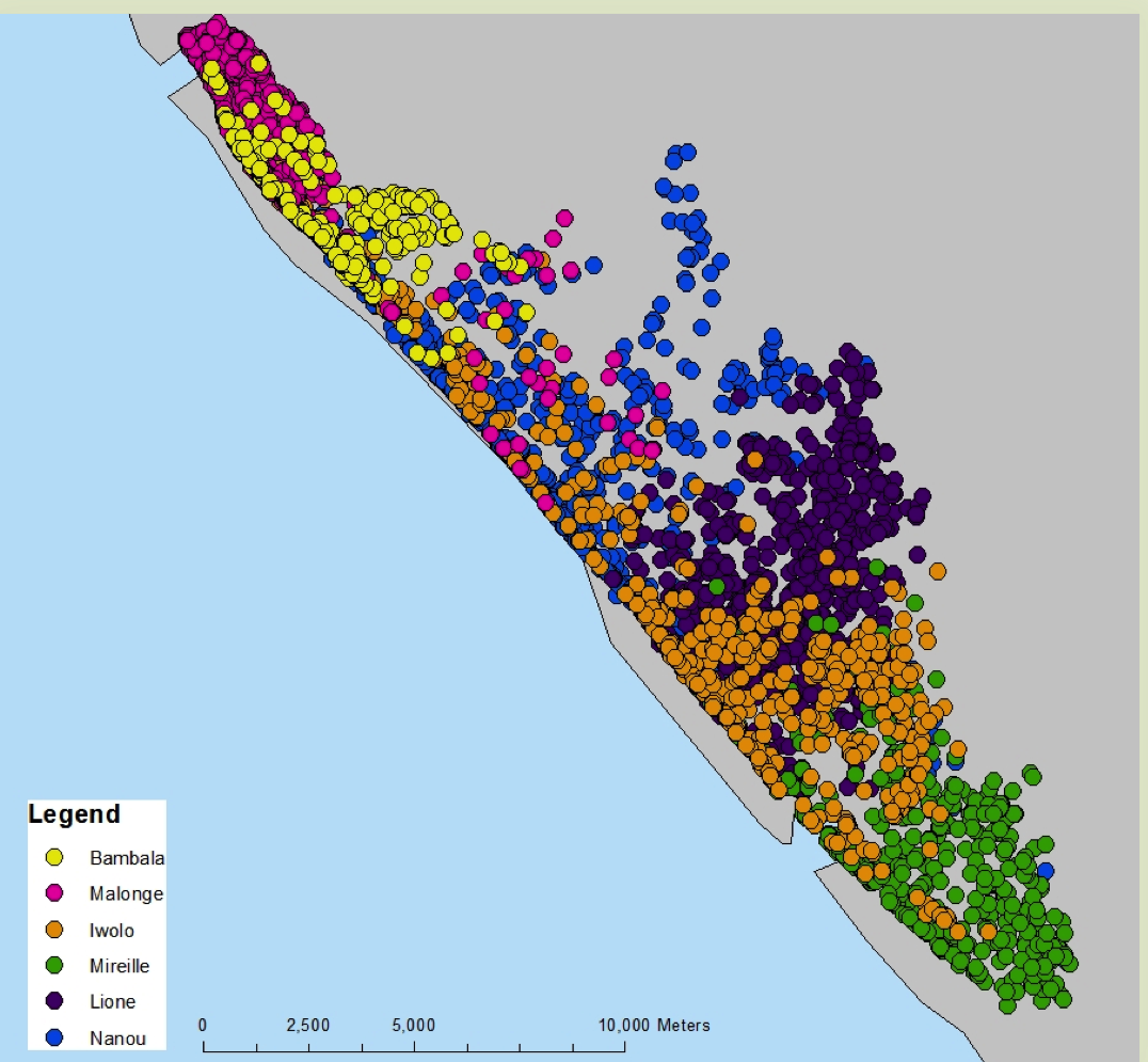 forest elephant locations