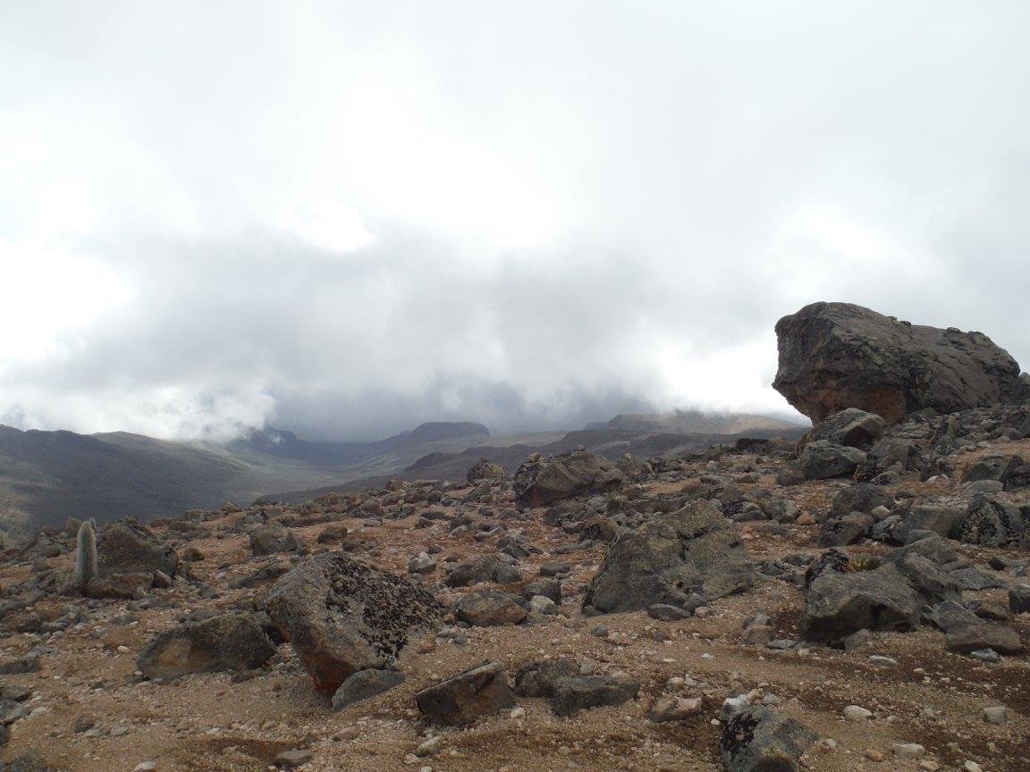 Mount Kenya Expedition