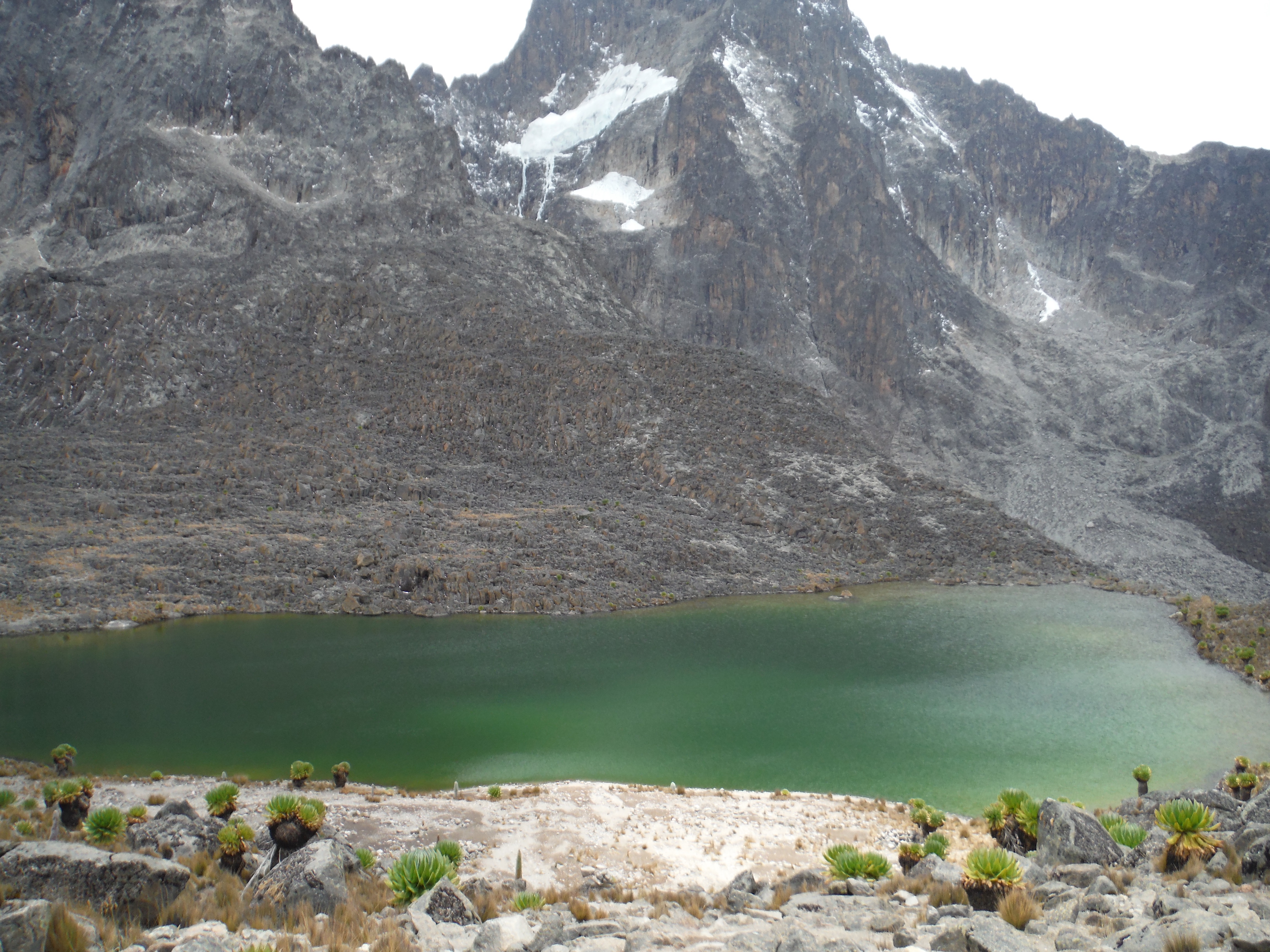 Mount Kenya expedition