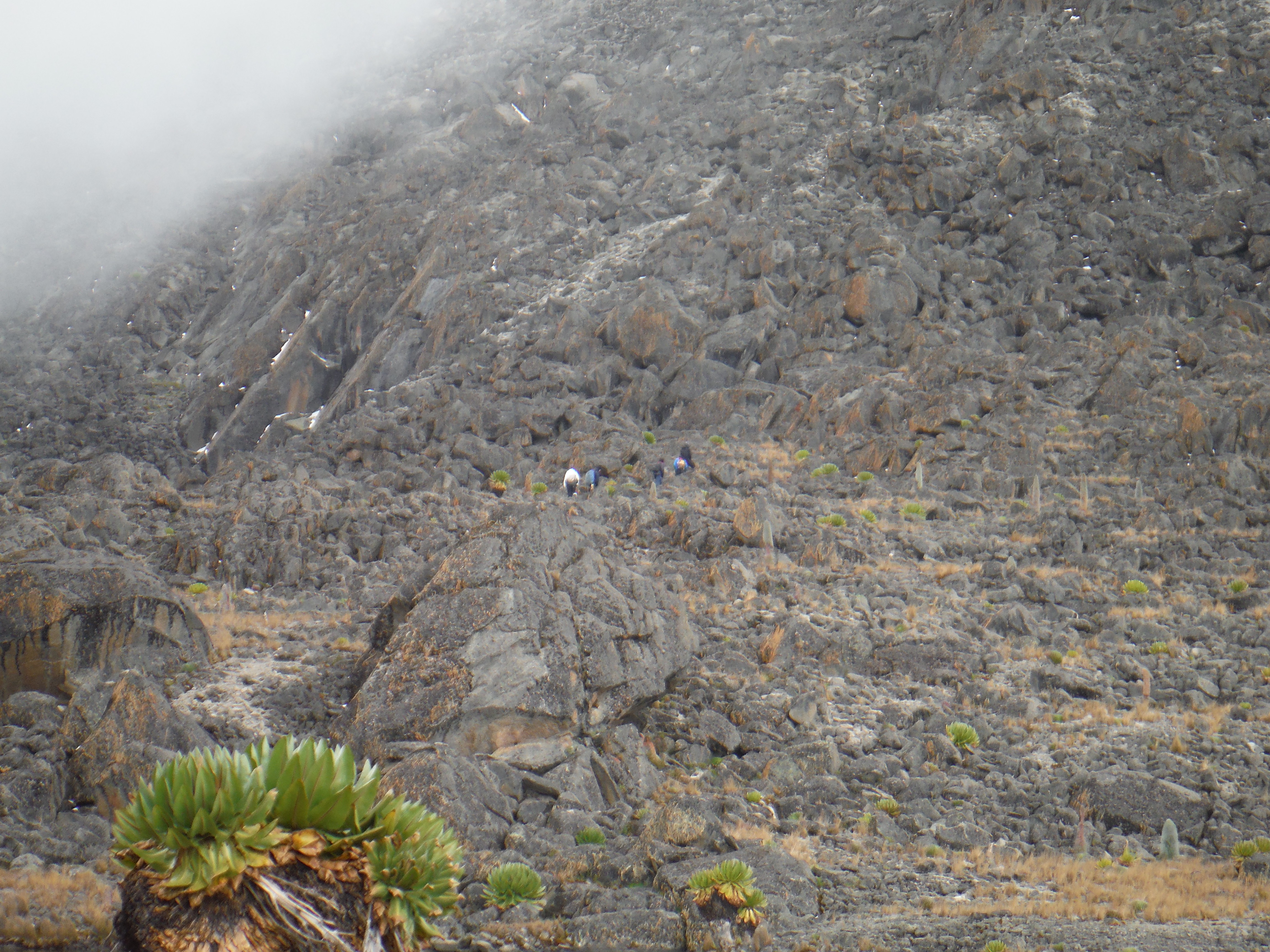 Mount Kenya expedition