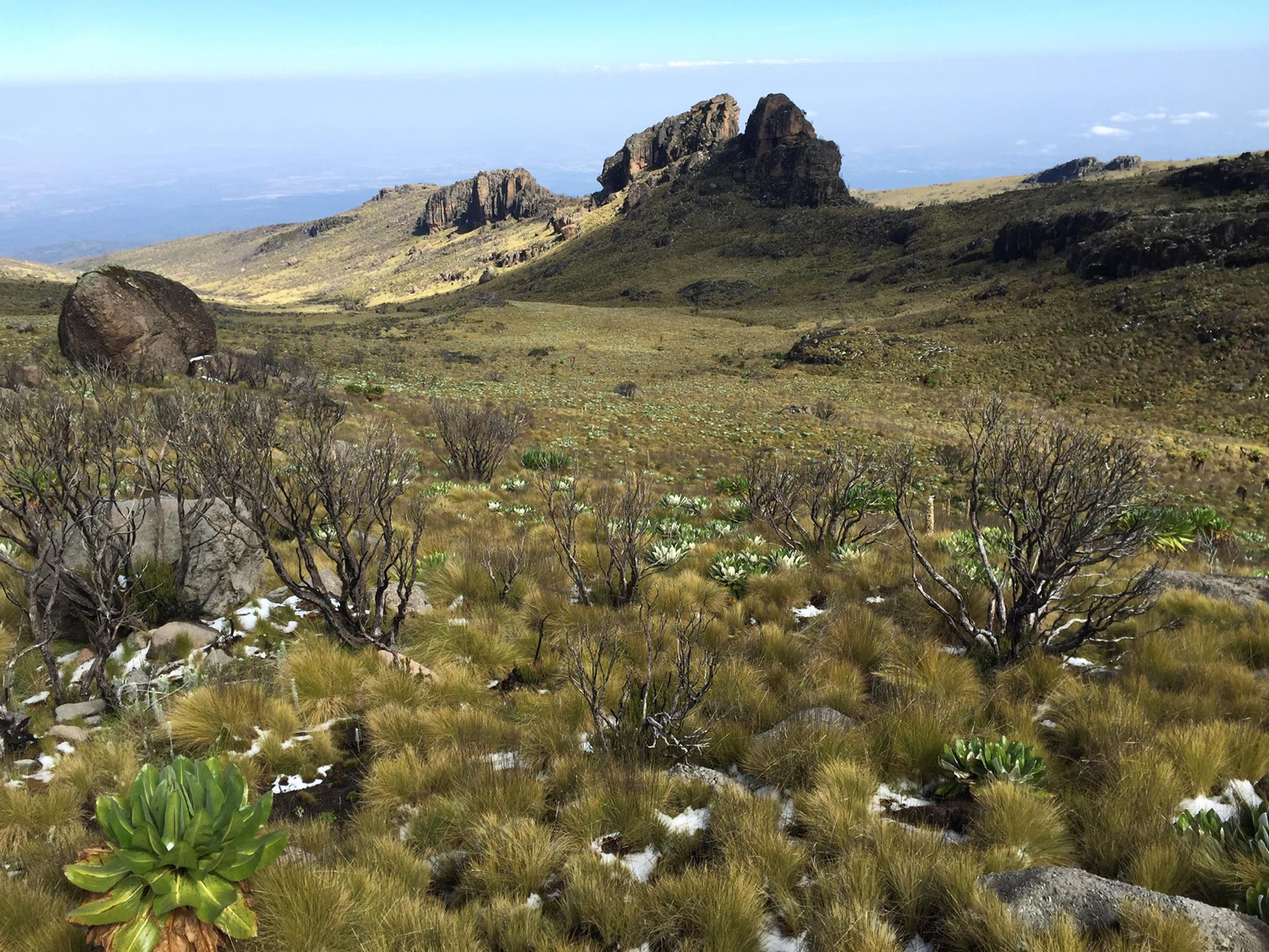 Mount Kenya expedition