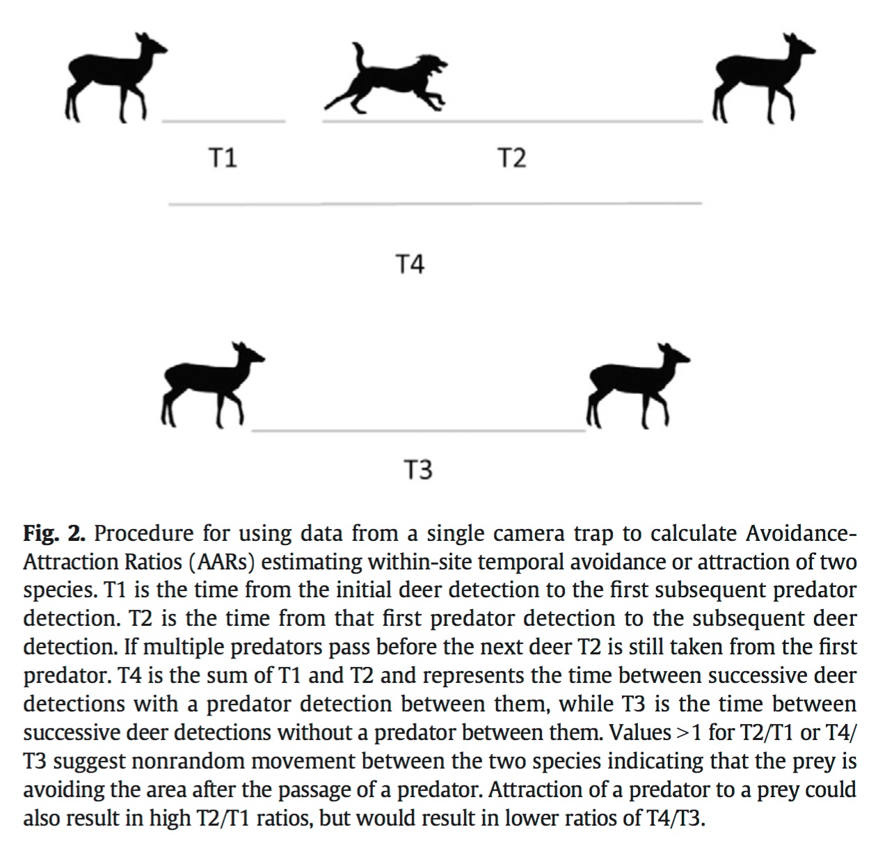 avoidance attraction ratio