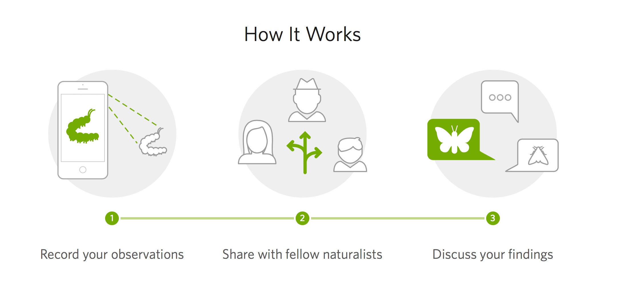 iNaturalist