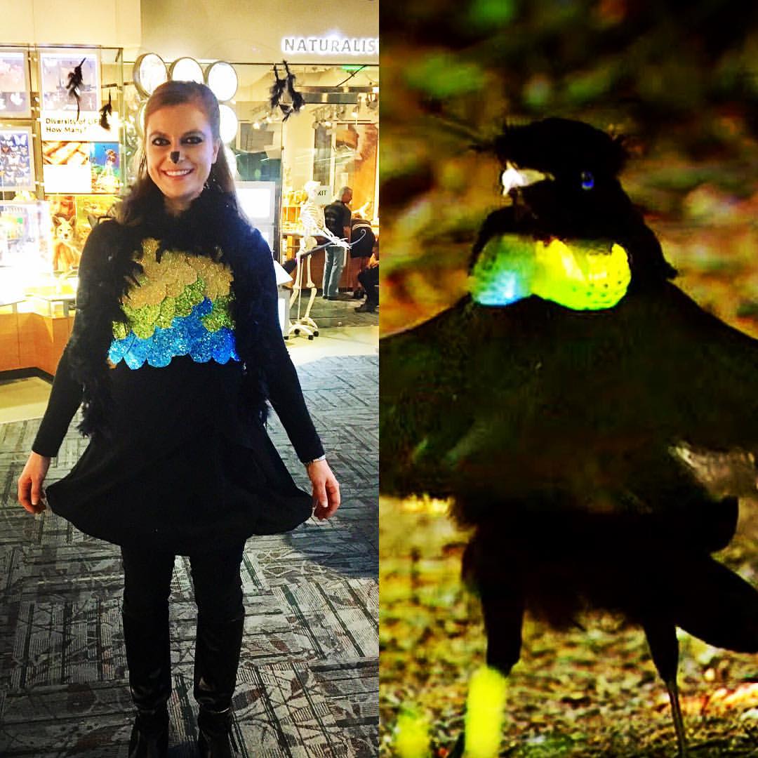 Bird of paradise costume