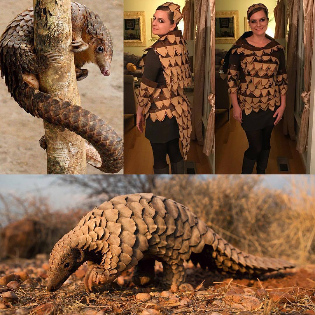 Pangolin costume