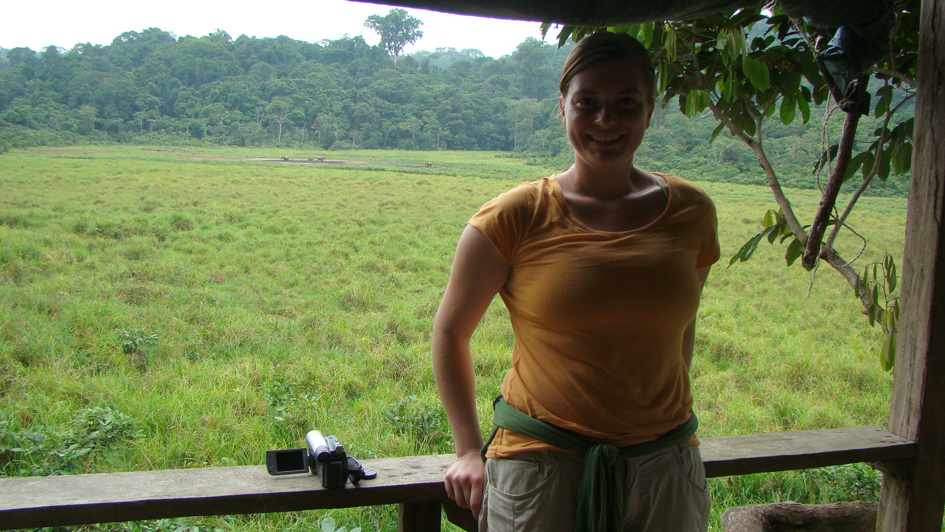 Scientist with forest elephants