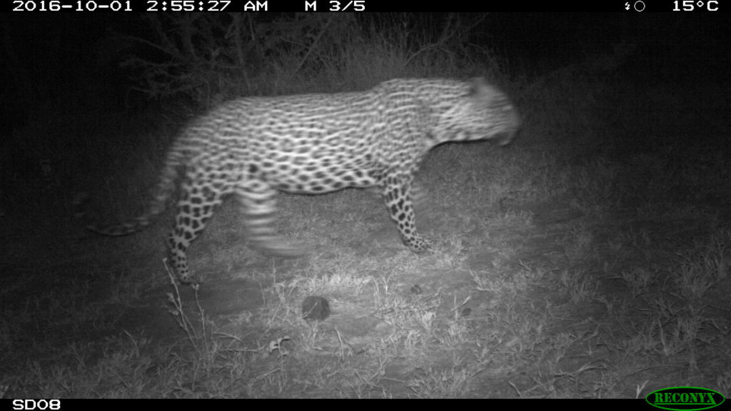 17 Amazing Camera Trap Photos from Kenya Taken By Kids - Stephanie ...