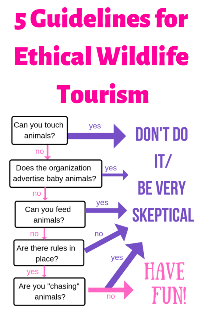 Ethical Wildlife Tourism