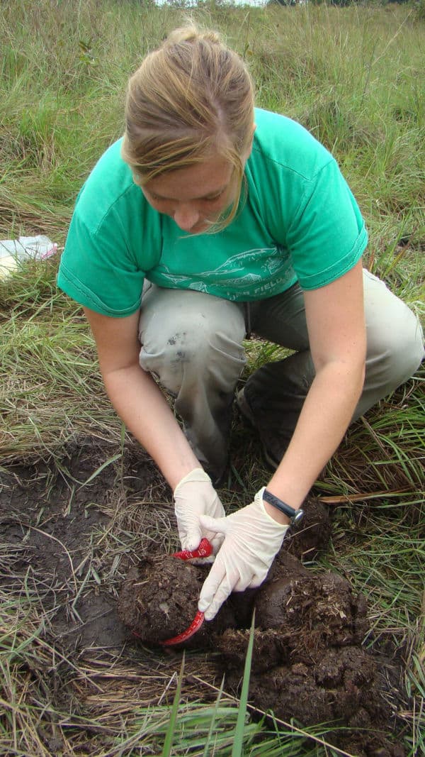 A woman gathering samples of an animal excrement.