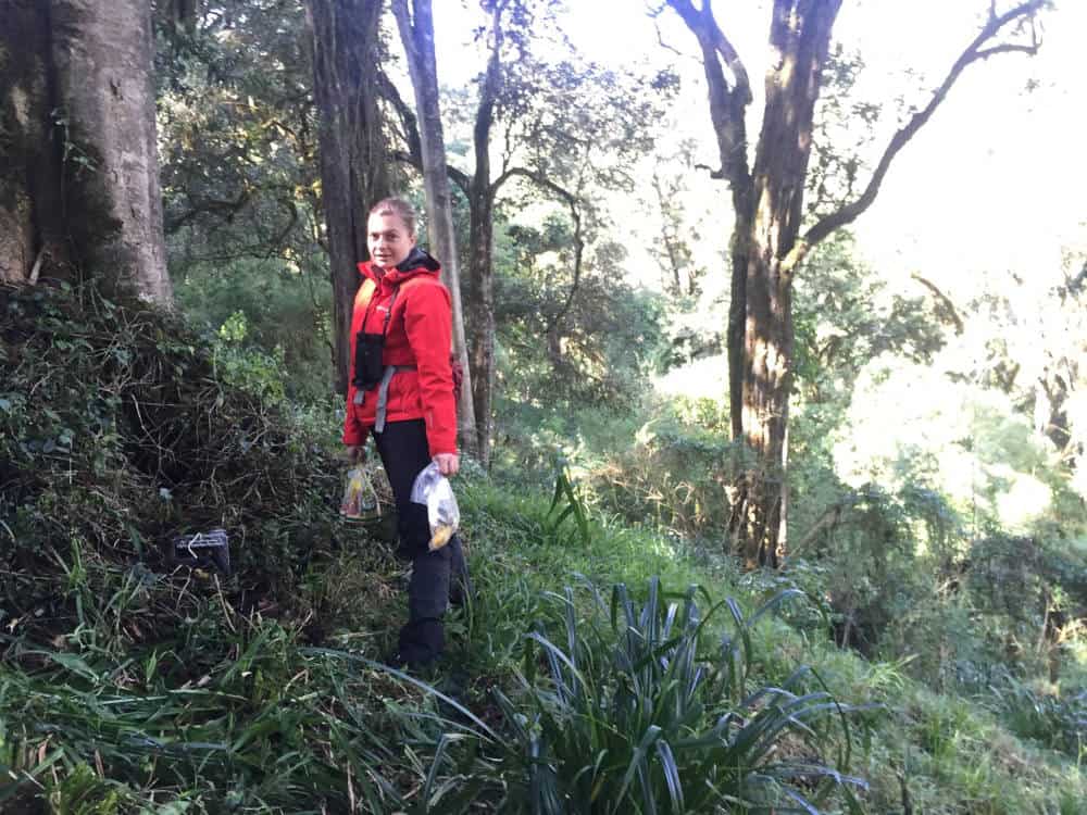 wildlife biologist setting live mammal traps