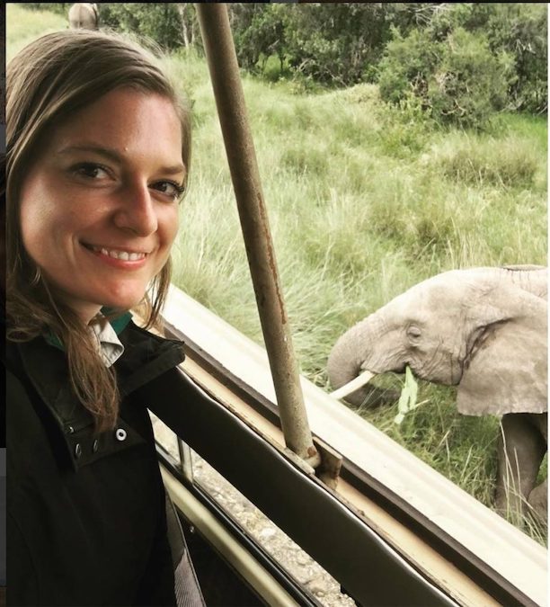 Elephant researcher with wild elephant