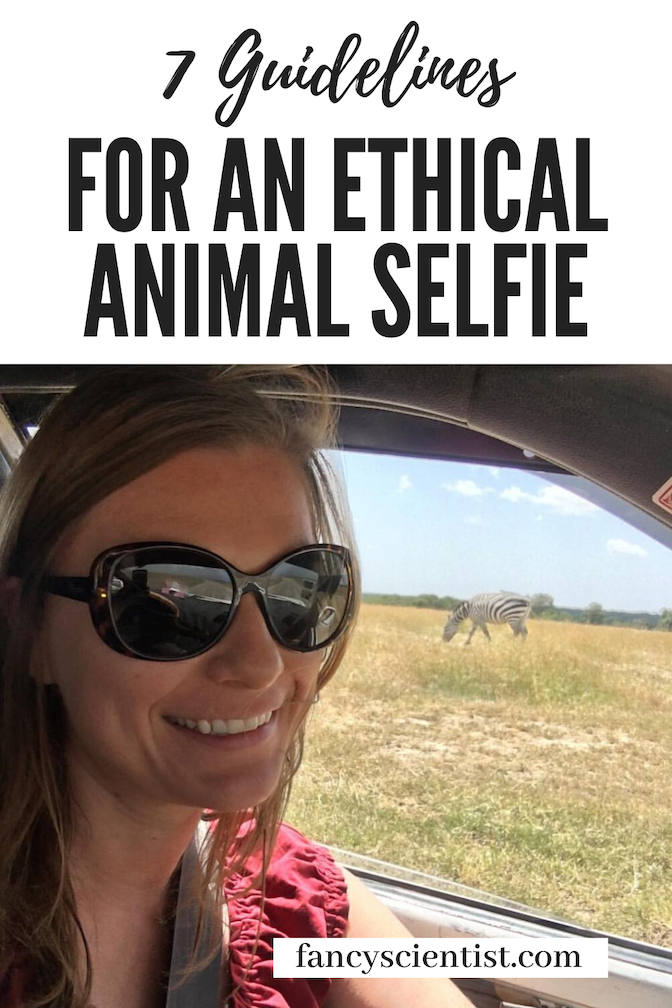 7 Guidelines for an Ethical Animal Selfie