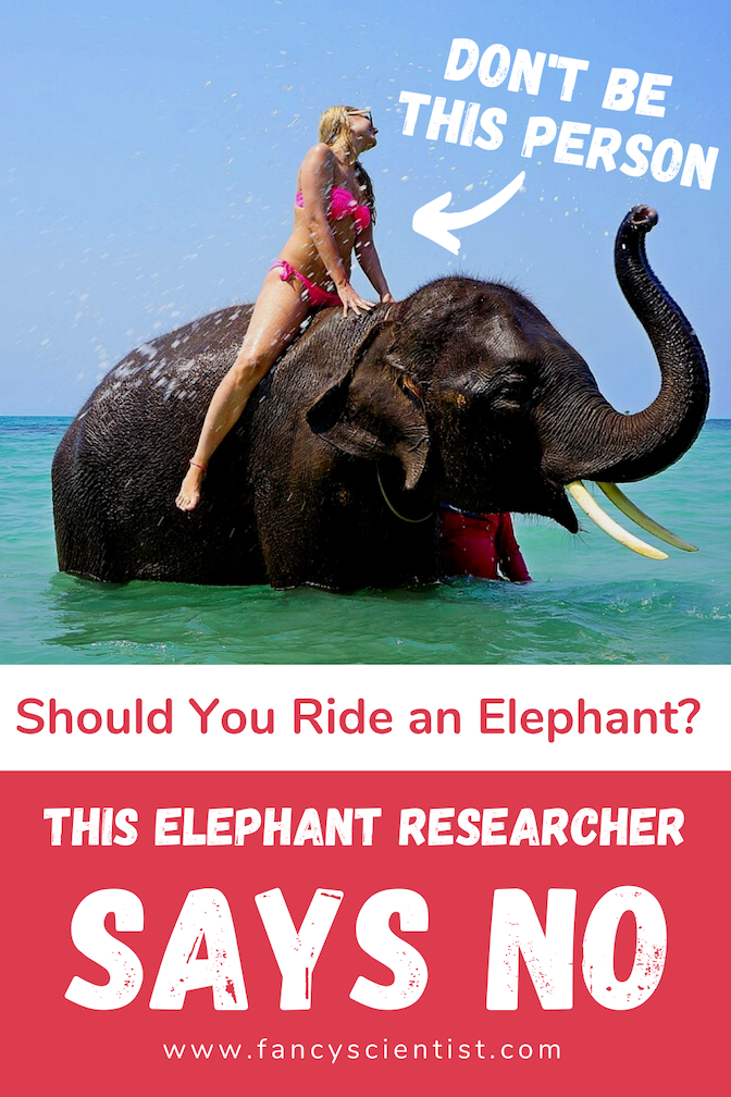 Don't ride elephants