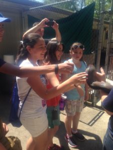 Children touching a Macklot's python at an ethical zoo.