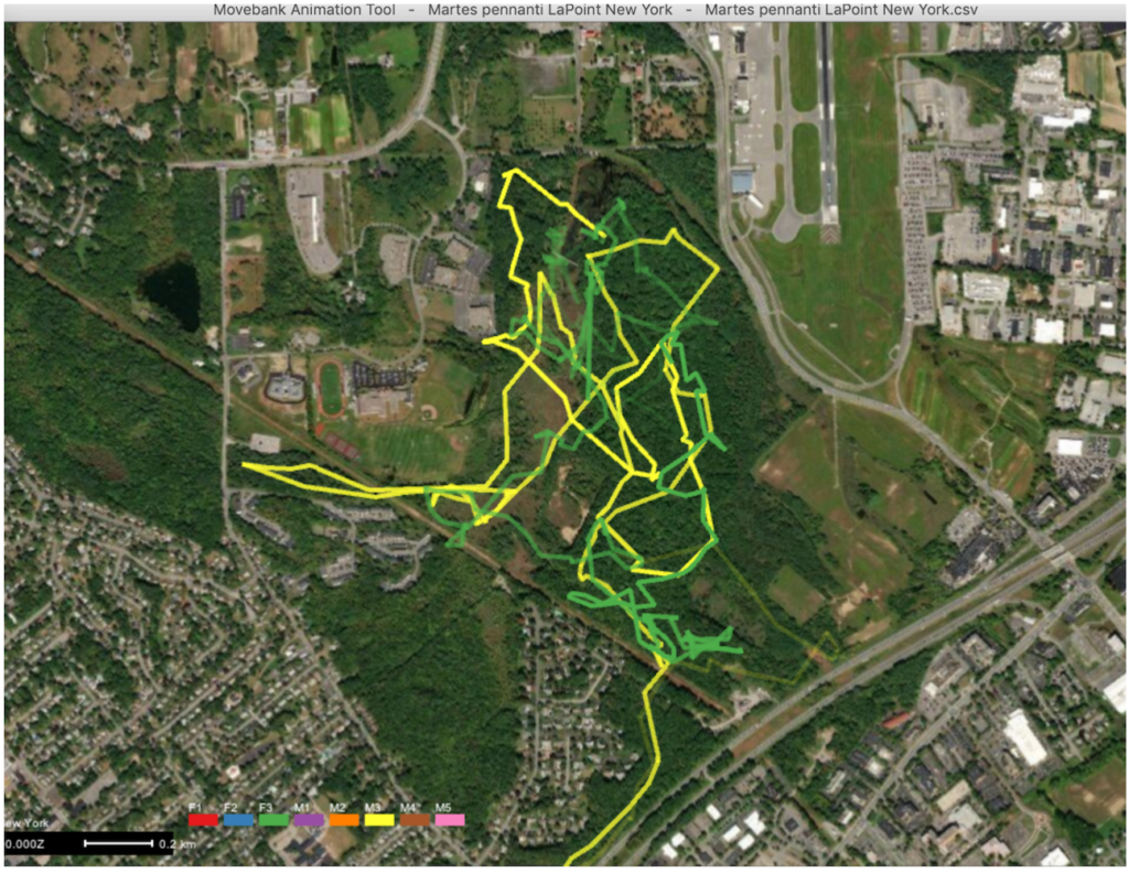 fisher movement tracks