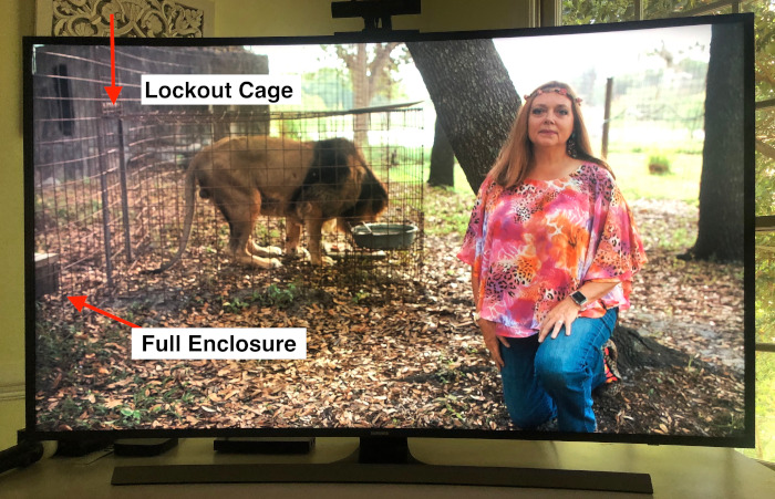 The shots of "small cages" that you see in Tiger King are lockout cages.