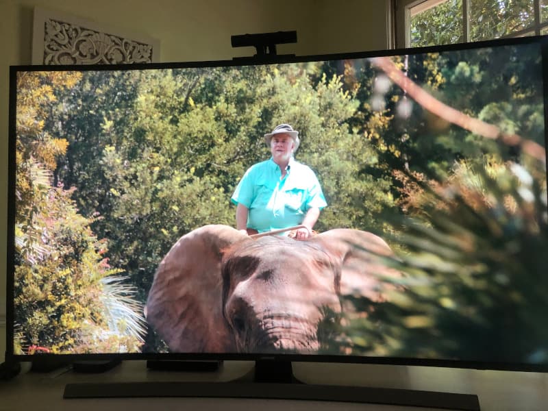 Why does Doc Antle always have a cane when he rides Bubbles the elephant? I think he uses it like a bullhook.