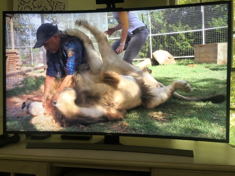 Jeff Lowe forcing a lion's mouth shut when the lion starts to get rough with him.