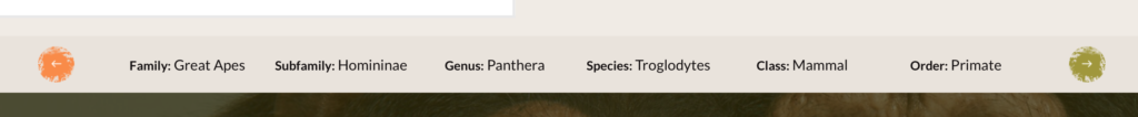 Taxonomic information on the Myrtle Beach Safari website appears for any no matter species you click on. 