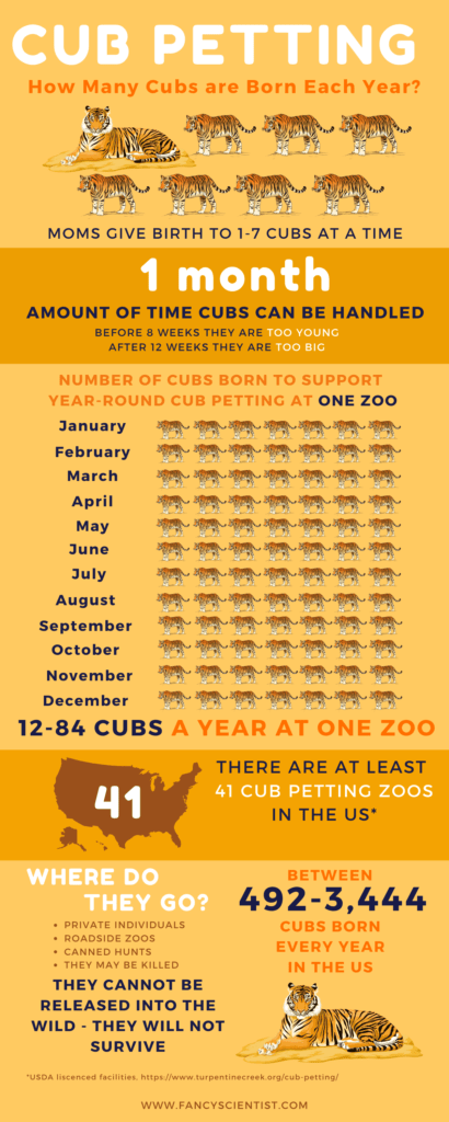 Is Cub Petting Conservation for Big Cats? - Stephanie Manka, Ph.D.