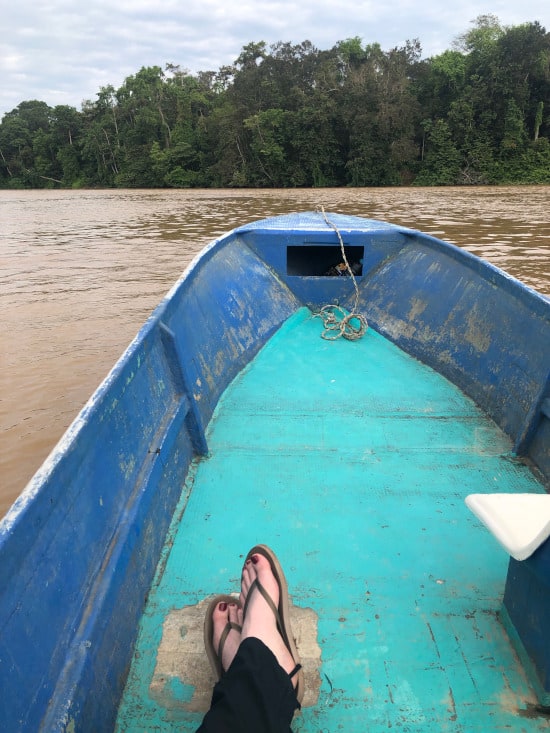 View from our boat on the Kinabatangan River.