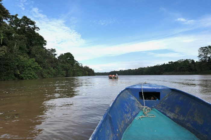 Gorgeous views of the Kinabatangan River.