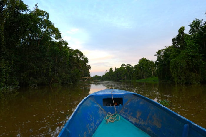 Vistas maravilhosas do nosso barco no rio Kinabatangan.