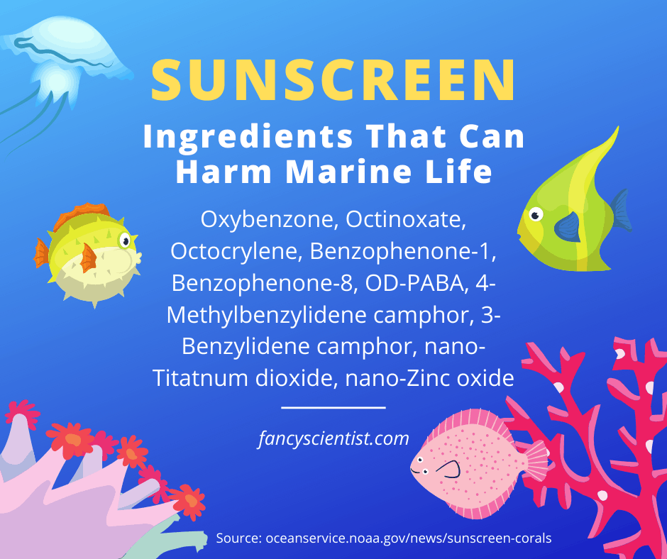 Sunscreen ingredients that can harm coral and other marine life.