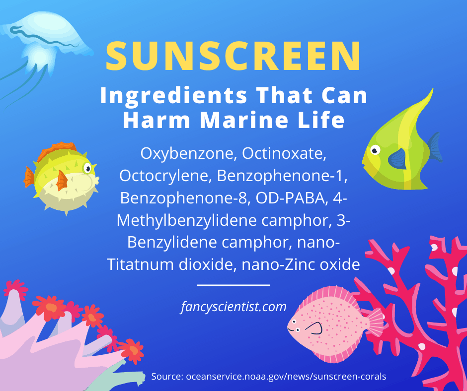 Sunscreen ingredients that can harm coral and other marine life. 