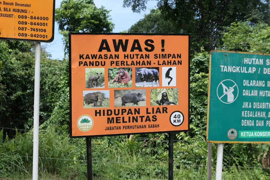 A signage of giving warning on treating animals in the forest