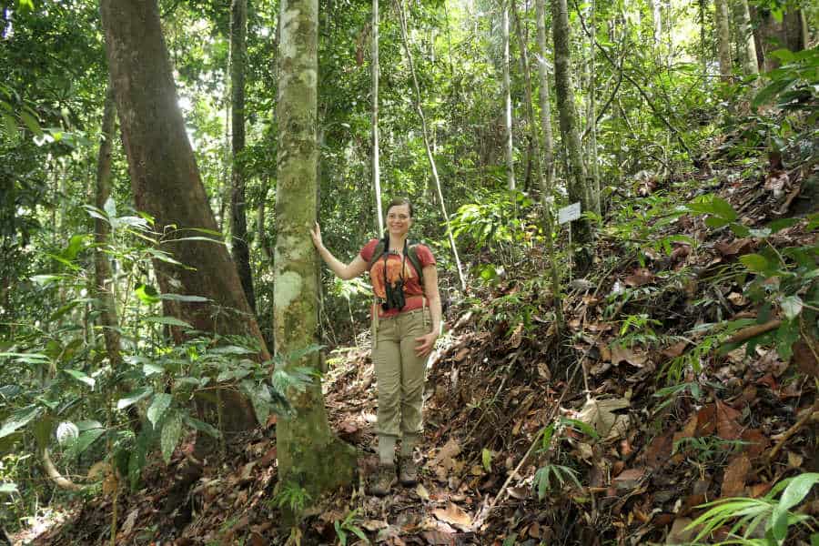 woman taking a picture in the forest