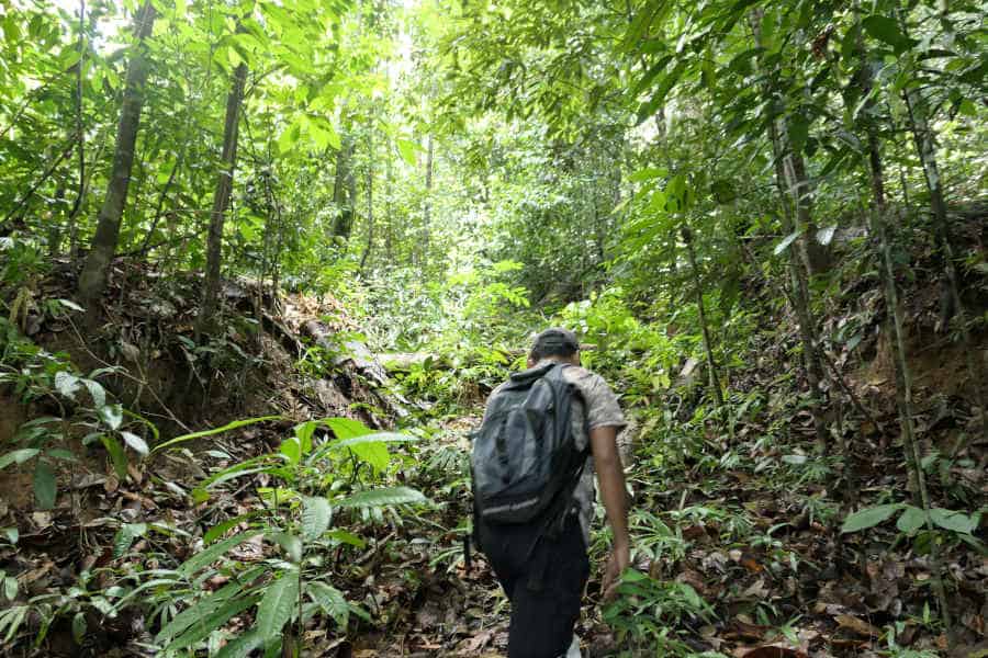 A man picking up the forest trail