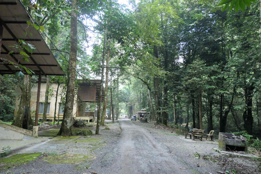 A picture of the lodging area in the forest