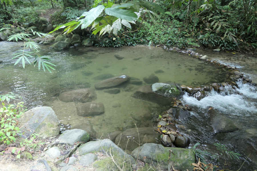 A picture of a stream basin