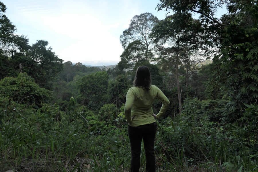 A woman overlooking the forest.