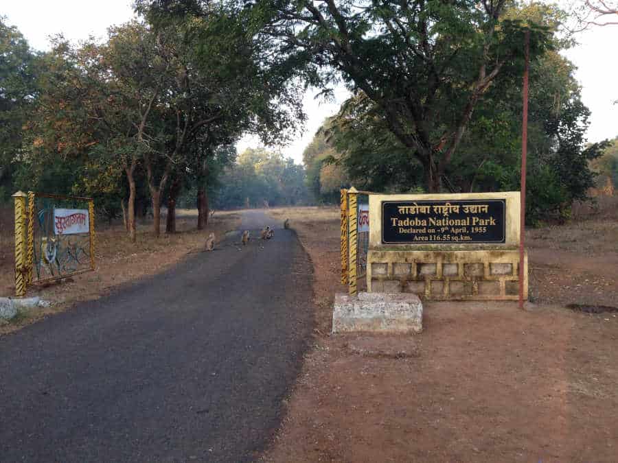 A picture of a monkey in the entrance of a park