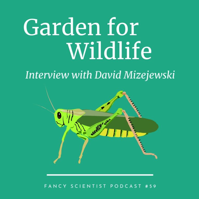 Garden for Wildlife with David Mizejewski