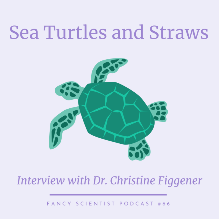 Sea turtles and straws with Christine Figgener