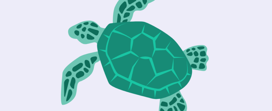 Sea turtles and straws with Christine Figgener