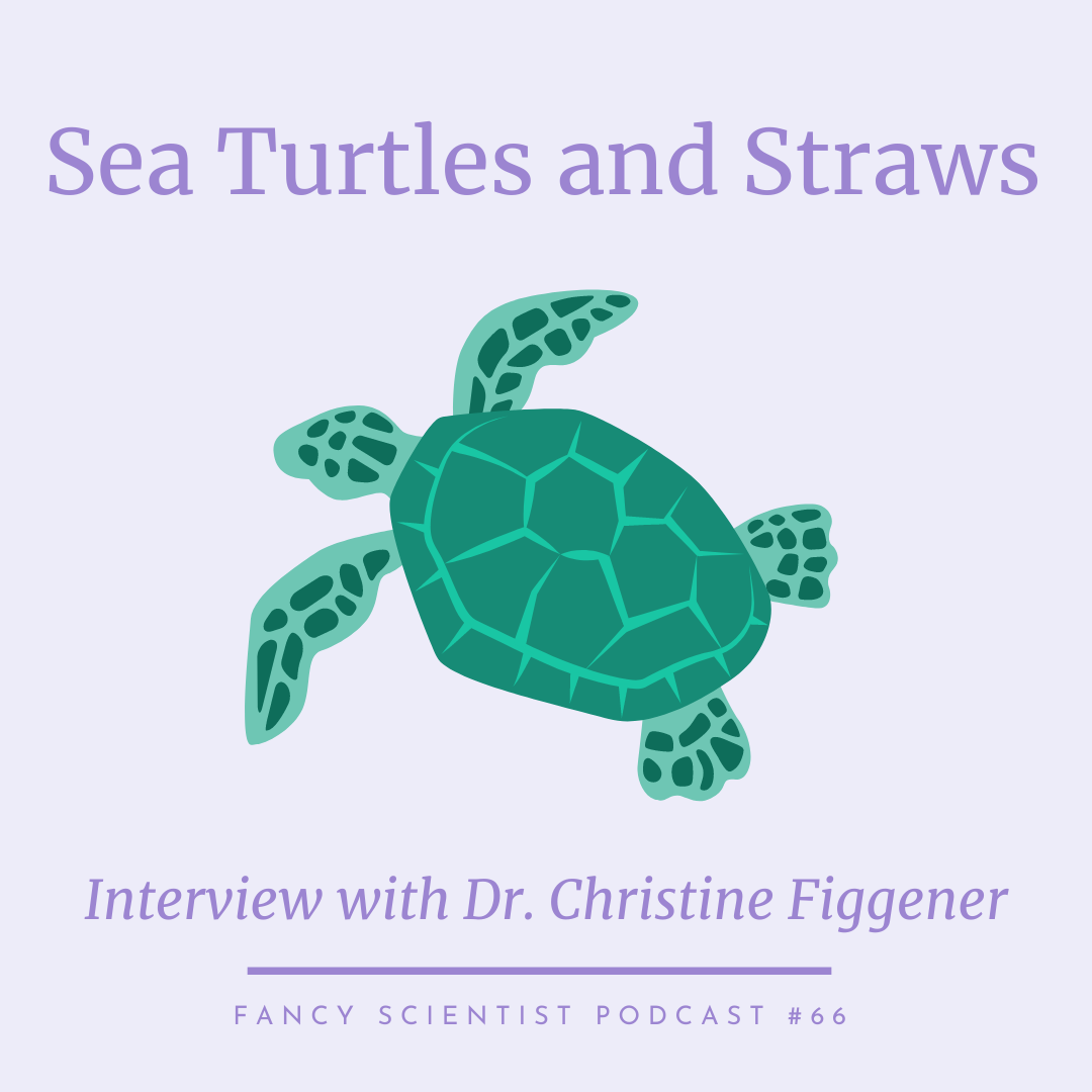 66: Sea Turtles and Straws with Christine Figgener - Stephanie
