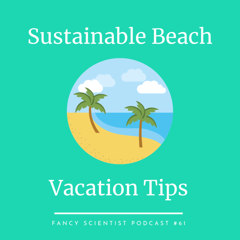 Sustainable Beach Vacation Tips