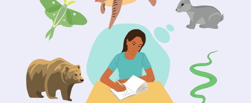 How Do Scientist Choose their Research