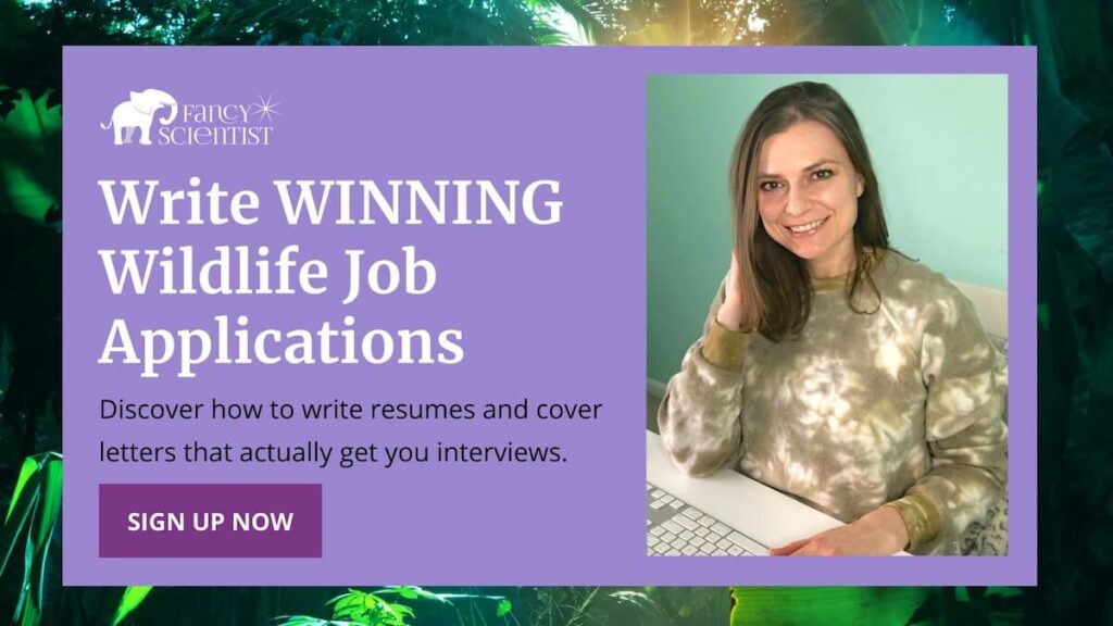 Write winning job applications