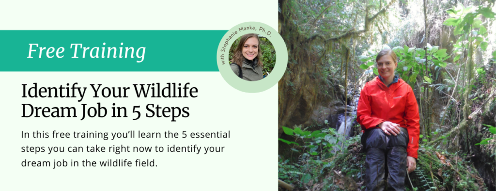 Identify your wildlife dream job in 5 steps