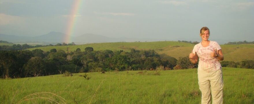 Stephanie Manka forest Buffalo Rainbow