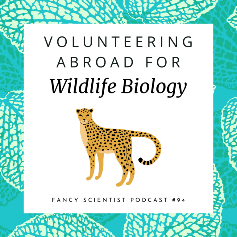 Volunteering abroad for wildlife biology