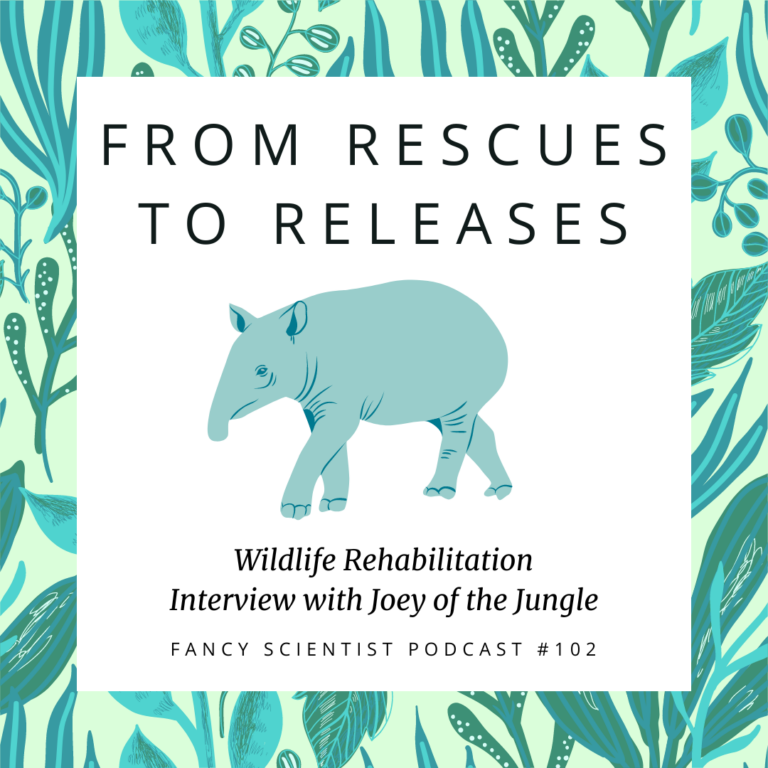 Wildlife Rehabilitation Interview with Joey Solimine